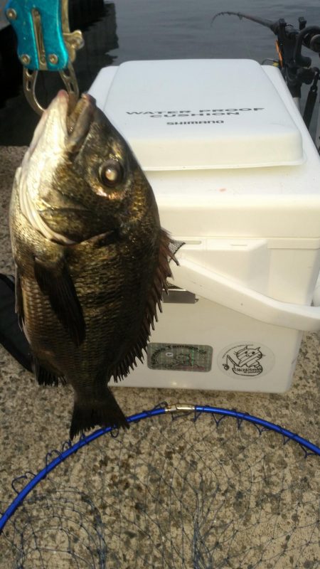 くろねこ流紀州釣りに挑戦！！